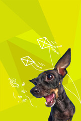 Contemporary artwork. Vector illustration. Dog with its mouth open looking at kite while have fun at nature. Vibrant color scheme. Concept of pets, holidays, positive emotions, rest, summer vacation.