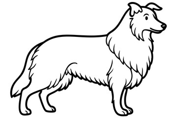 Shepherd - line art of a Standing Shepherd Dog, in black and white vector illustration.