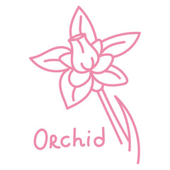 Doodle illustration in the form of a pink orchid with a cute name. Isolated hand-drawn drawing with a wide line. shades of pink on white. Romantic silhouette for a holiday on postcards for a wedding