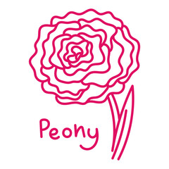 Doodle illustration in the form of a pink peony with a cute name. Isolated hand-drawn drawing with a wide line. shades of pink on white. Romantic silhouette for a holiday on postcards for a wedding