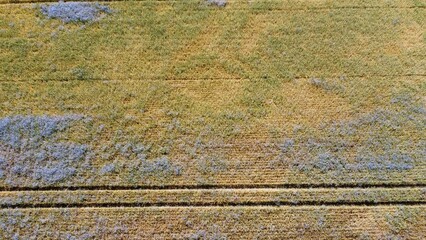 Widok z drona na pole