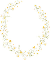 Watercolor floral wreath with tiny daisies