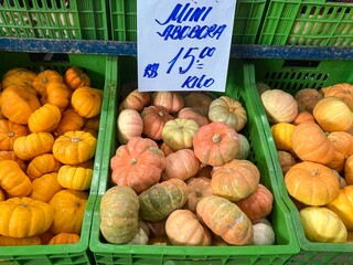 Pile of fresh mini pumpkins at the Brazilian market stall for sale at the price of R$15.00 per kilo.