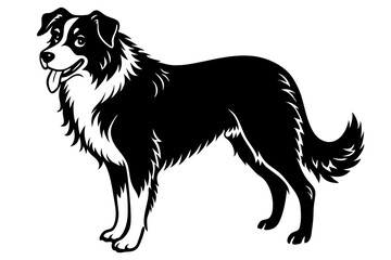  Shepherd - An silhouette of a Standing Shepherd Dog, in black and white vector illustration.