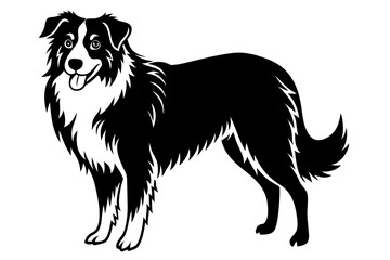  Shepherd - An silhouette of a Standing Shepherd Dog, in black and white vector illustration.