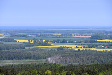 Countryside landscape with rope fields. View of a field.