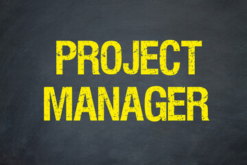 Project Manager