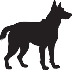 black and white dog.