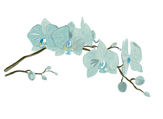 Beautiful floral watercolor blue orchid flower branch.