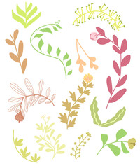 Fototapeta premium Set of flowers and leaves