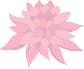 Fototapeta premium Pink lotus isolated on white background. Lotus flower illustration vector.
