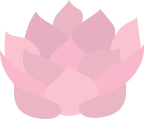 Pink lotus isolated on white background. Lotus flower illustration vector.