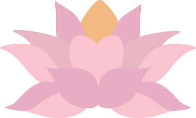 Pink lotus isolated on white background. Lotus flower illustration vector.