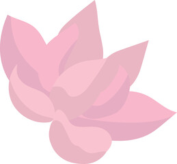 Pink lotus isolated on white background. Lotus flower illustration vector.