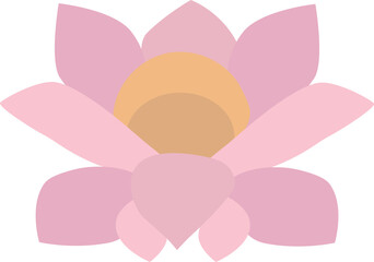 Pink lotus isolated on white background. Lotus flower illustration vector.