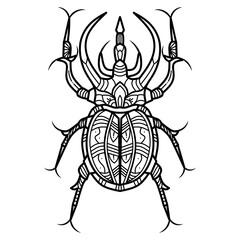 Hand drawn head of spider