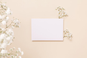 Aesthetic paper postcard card with copy space and beautiful gypsophila flowers on beige background, top view. Mockup paper card for design, print, greeting, wedding and invitation.