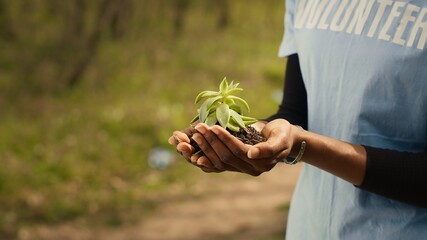 African american young volunteer holding a small seedling in her hands, symbolizing natural...