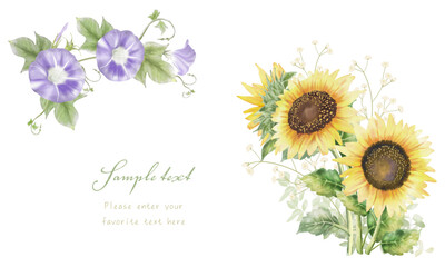 アサガオとひまわり