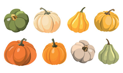 Autumn set of pumpkins for Halloween and harvest on white background. Vector illustration. Isolated on white background