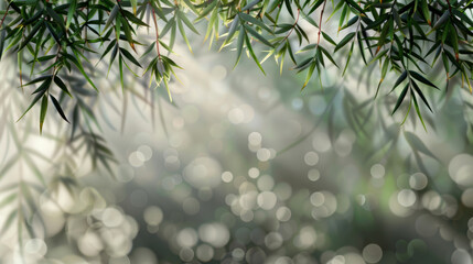 Abstract gray shadow background of natural bamboo leaves branch