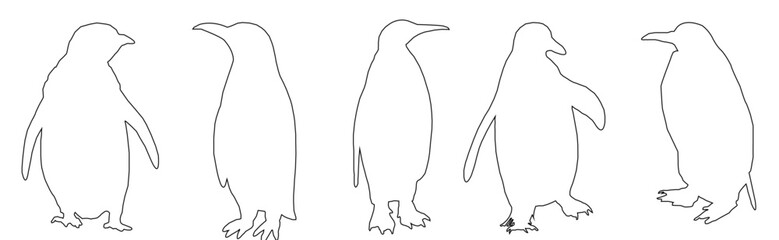 hand drawn sketch of a penguin