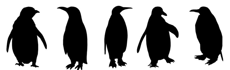 silhouette of a penguin © Veeru