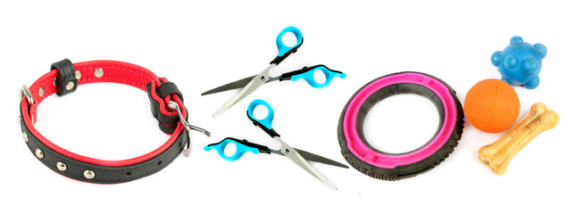 Dog collar, scissors and Set of dog toys isolated on white. Collage. Wide photo.