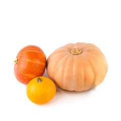 Pumpkins isolated on white, ripe fresh vegetables side view. Set of orange whole mini pumpkins, small squash on Halloween.