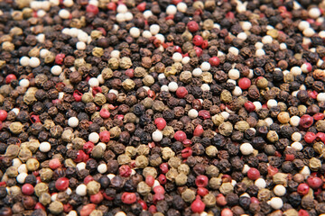 Peppercorn. Food Spices Mix Colorful Peppercorns. Mixed Pepper Dry Berries. Concept of Fresh Spices for Cooking Products. Rotation. Close Up, Macro. Full Frame Border. Pepper Pouring from Wooden Spoon