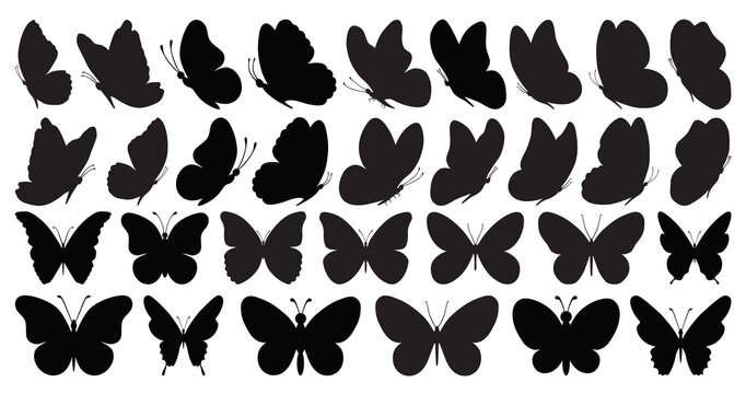Set of black butterflies isolated on white background, collection of silhouettes. Butterfly black color, flying shape, vector design. Abstract modern monarch butterfly contours for decoration design