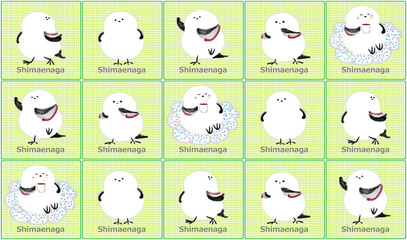 シマエナガ壁紙 1 (緑)