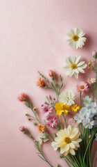 Obraz premium Spring flowers on a pastel colored paper texture background with copy space