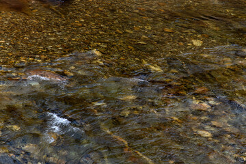 View of the flowing water in the stream