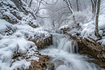 Obraz premium beautiful waterfall with green tree, nature landscape