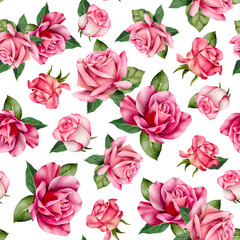 A beautiful seamless floral pattern with pink roses  on a white background