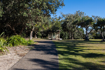 Obraz premium An empty footpath in the bushwalk.