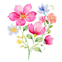 Obraz premium Watercolor Flower with transparent background
