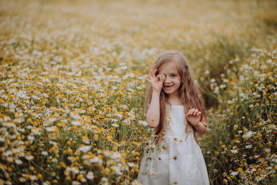 sweet little girl smiles in chamomile field on sunny summer day. Rejoices, plays with flower, rest vacations for children. postcard, symbol of family, love, loyalty, sweet simplicity and tenderness