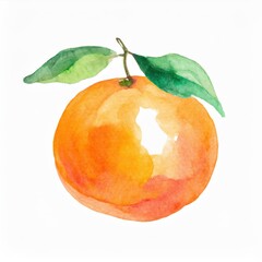 Hand drawn watercolor orange fruit isolated on white background