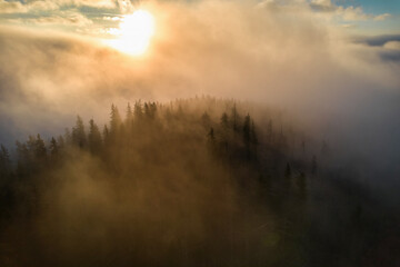 Obraz premium Flight over fog in Ukrainian Carpathians in summer. A thick layer of fog covers the mountains with a continuous carpet. Aerial drone view.