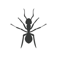 ant icon vektor