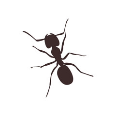 ant icon vektor