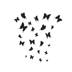 silhouettes of butterflies