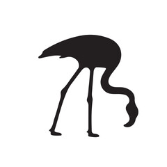 illustration of a silhouette of a bird