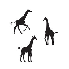 giraffe silhouette vector