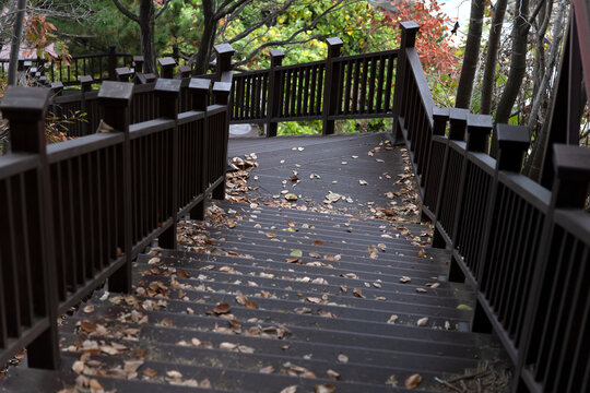 High-angle view of the wooden stairway at the seaside