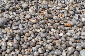 Lots of cobbles