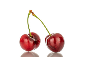 Two sweet cherry berries, macro, isolated on a white background.