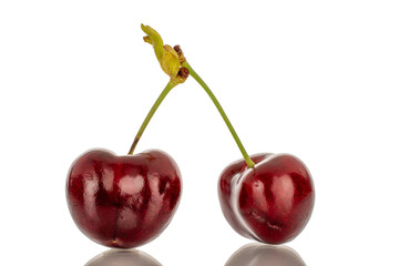 Two sweet cherry berries, macro, isolated on a white background.